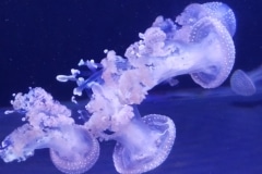 20190518_123710
