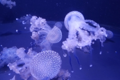 20190518_123901