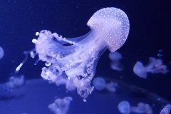 20190518_123909