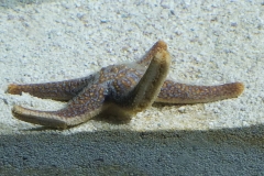 20190518_124128