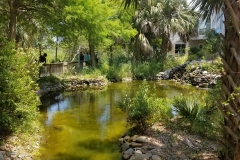 20190518_130641
