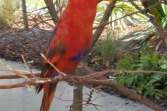 20190518_133524