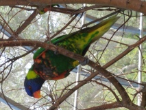 20190518_133533