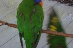 20190518_133702