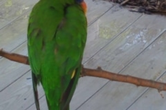 20190518_133721
