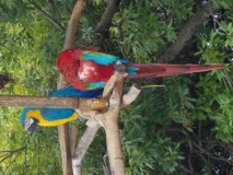20190622_122635