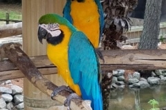 20190622_124735