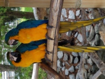 20190622_124750