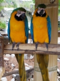 20190622_125919