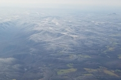 123951 (21)