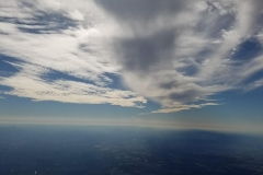 123951 (22)