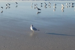 123951 (49)