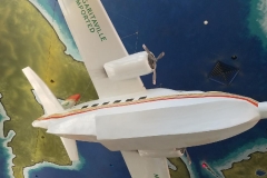 123951 (61)