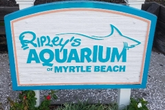 ripleys sign