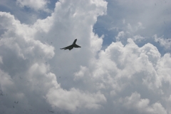 IMG_5145