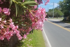 20190601_144148